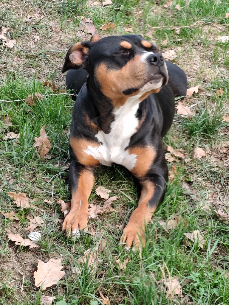 Uriana (Sans Affixe)