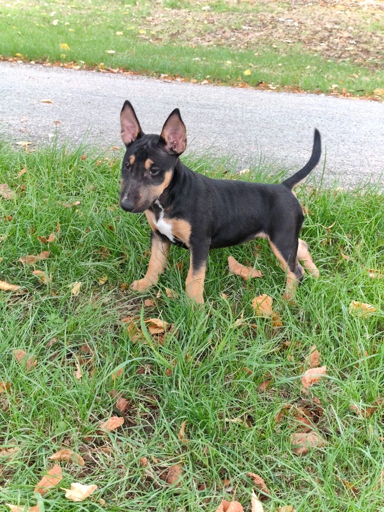 du donjon de us'den Ayana