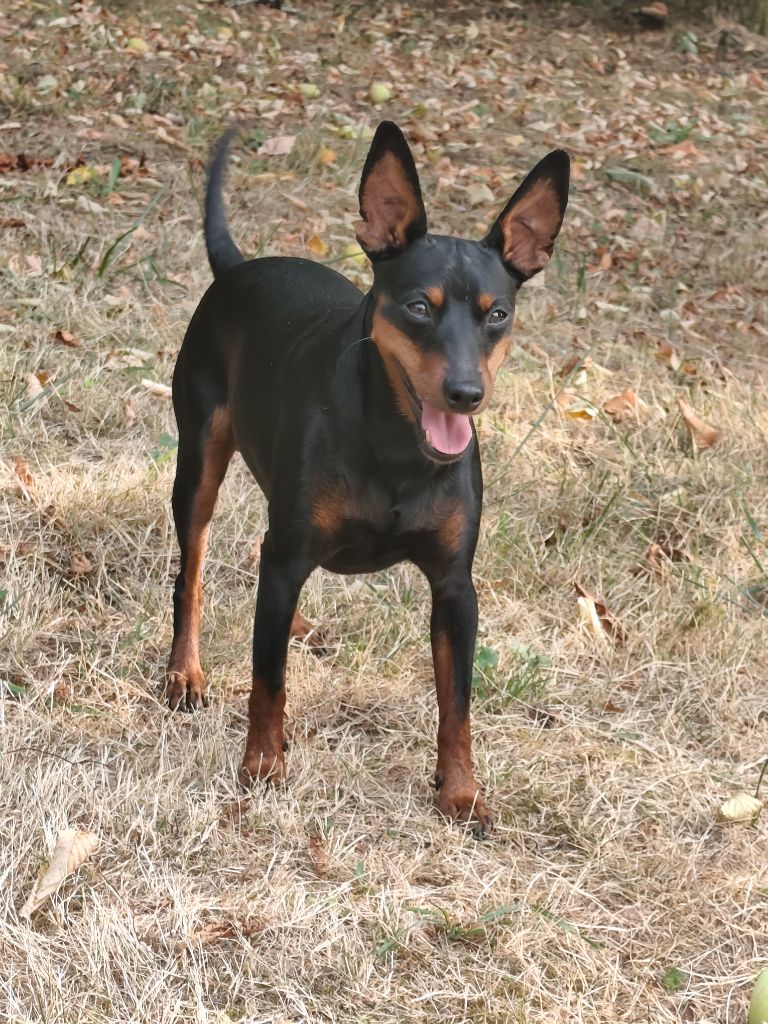 CH. Thiro (Sans Affixe)