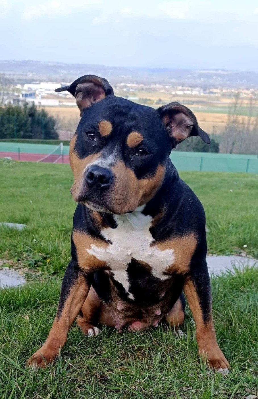 Uriana (Sans Affixe)